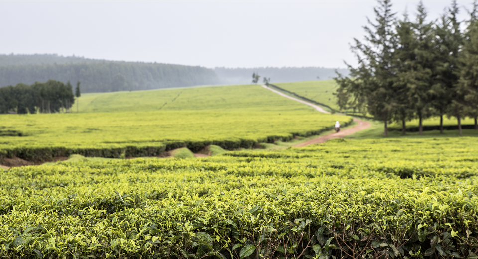 Driving Routes in kenya